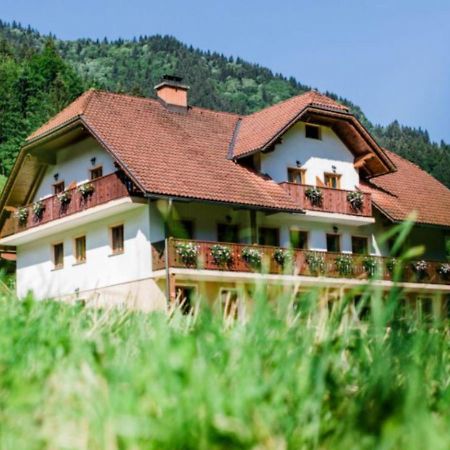 Na Logu - Farm Stay Ambroz Gregorc Solčava Extérieur photo