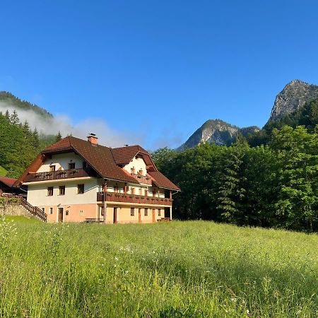 Na Logu - Farm Stay Ambroz Gregorc Solčava Extérieur photo