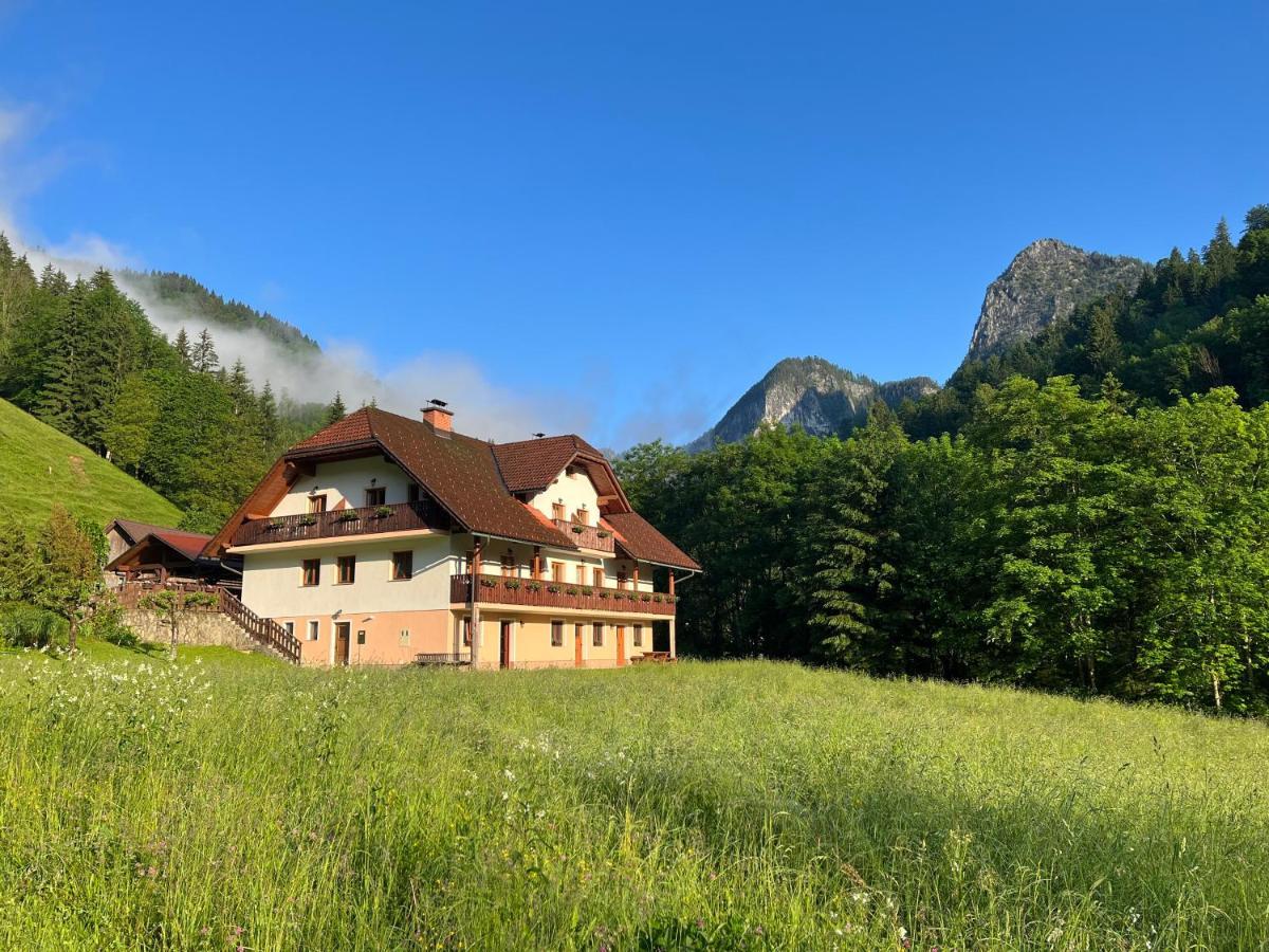 Na Logu - Farm Stay Ambroz Gregorc Solčava Extérieur photo