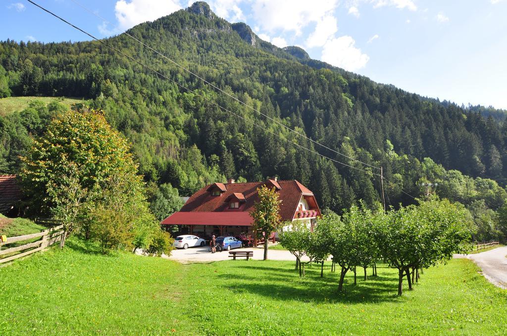 Na Logu - Farm Stay Ambroz Gregorc Solčava Extérieur photo
