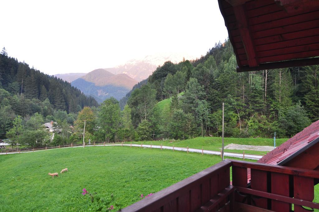 Na Logu - Farm Stay Ambroz Gregorc Solčava Chambre photo