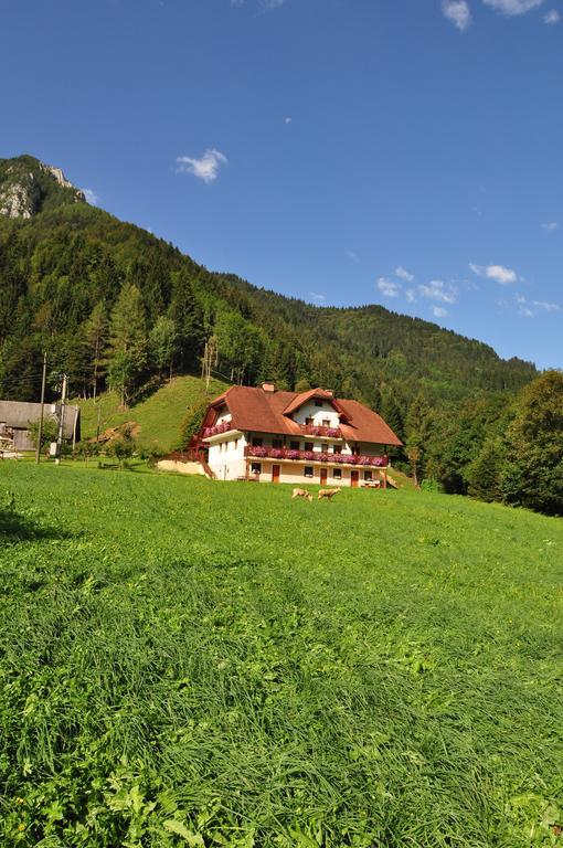 Na Logu - Farm Stay Ambroz Gregorc Solčava Extérieur photo