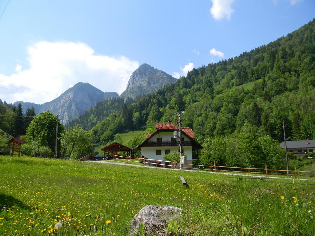 Na Logu - Farm Stay Ambroz Gregorc Solčava Extérieur photo