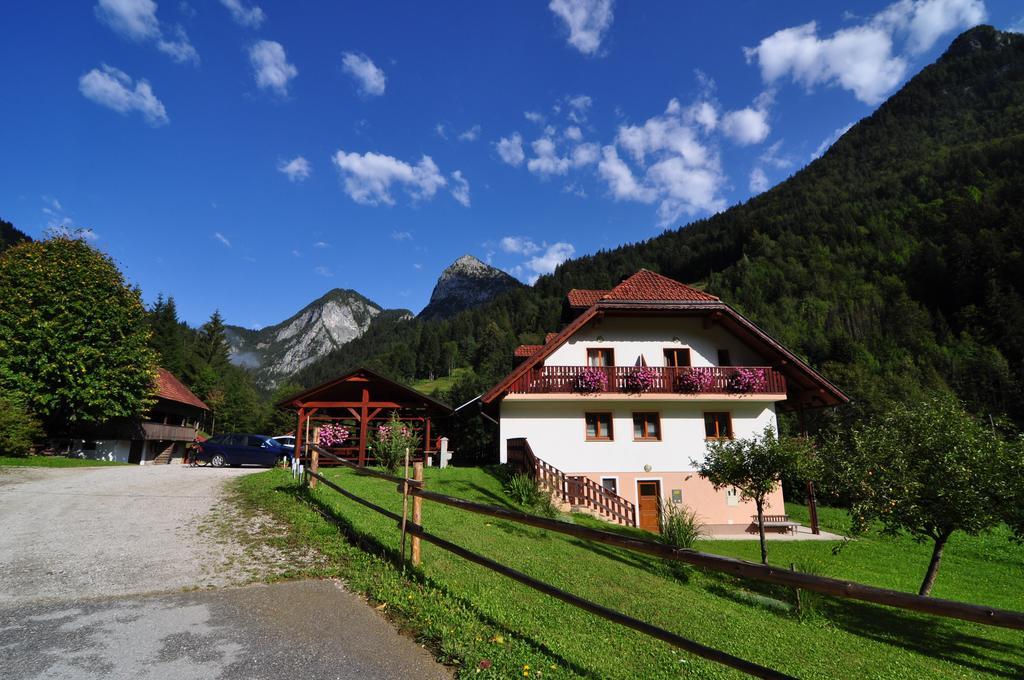 Na Logu - Farm Stay Ambroz Gregorc Solčava Extérieur photo
